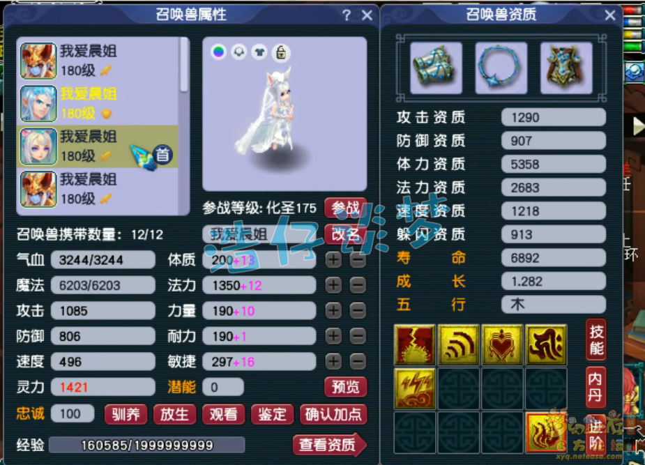 梦幻西游神木林帮战175级展示图