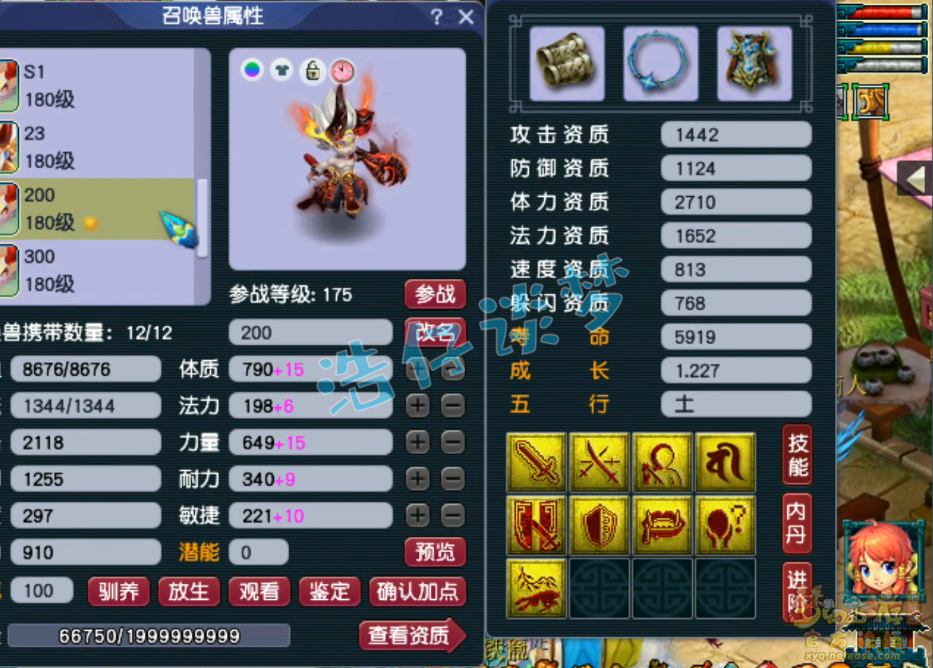 梦幻西游175级单挑五庄观装备展示图