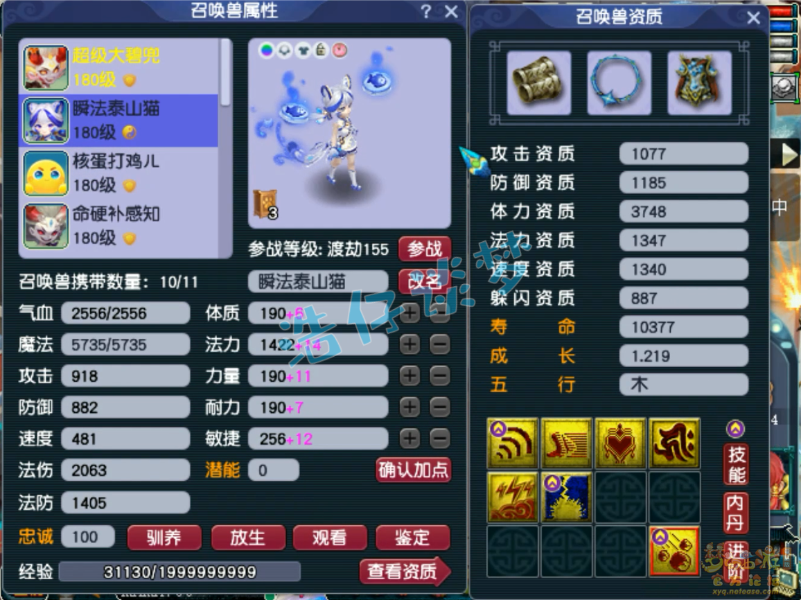 梦幻西游175帮战凌波城装备展示图