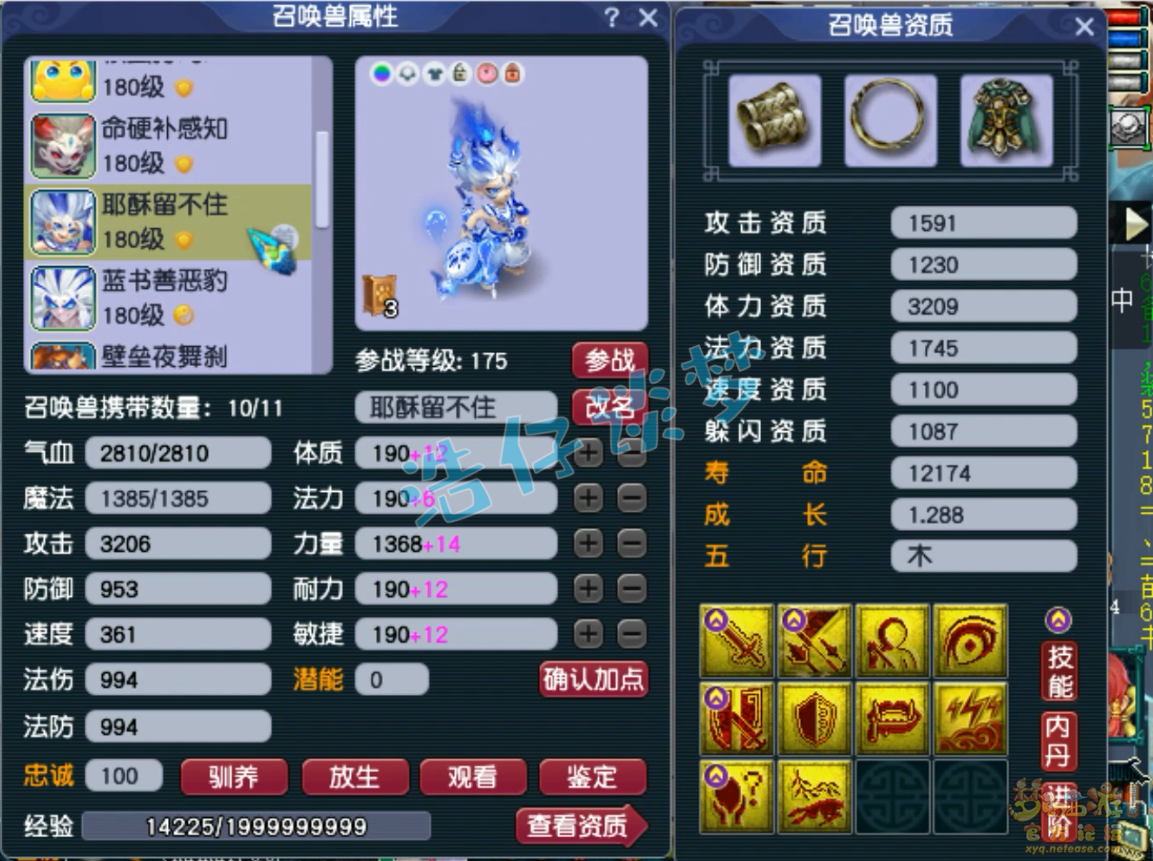 梦幻西游175帮战凌波城装备展示图