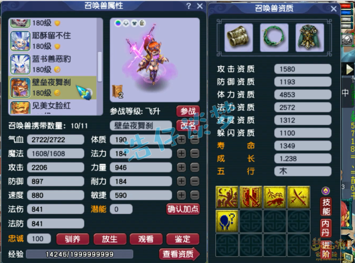 梦幻西游175帮战凌波城装备展示图