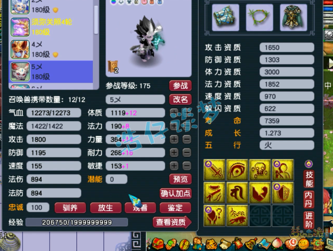 梦幻西游175级辅助化生寺装备展示图