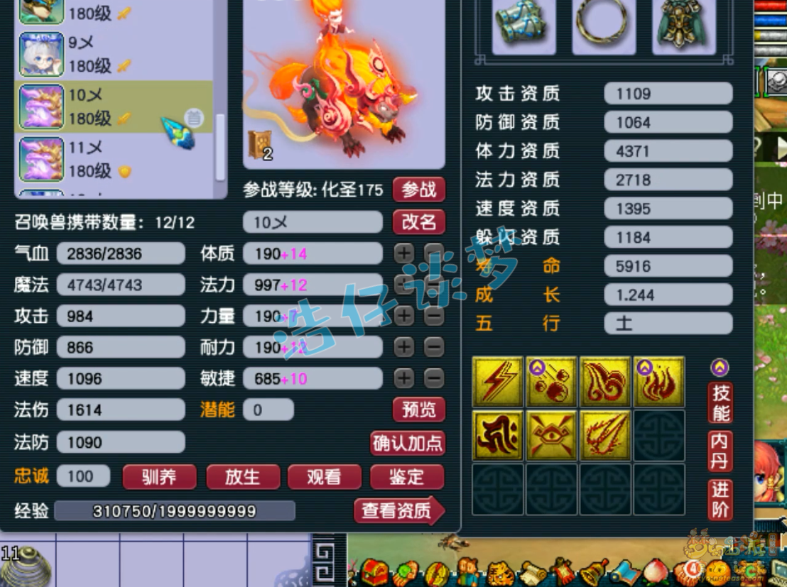 梦幻西游175级辅助化生寺装备展示图