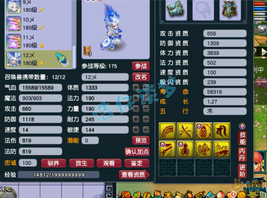 梦幻西游175级辅助化生寺装备展示图