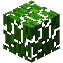 我的世界丛林树叶有什么用