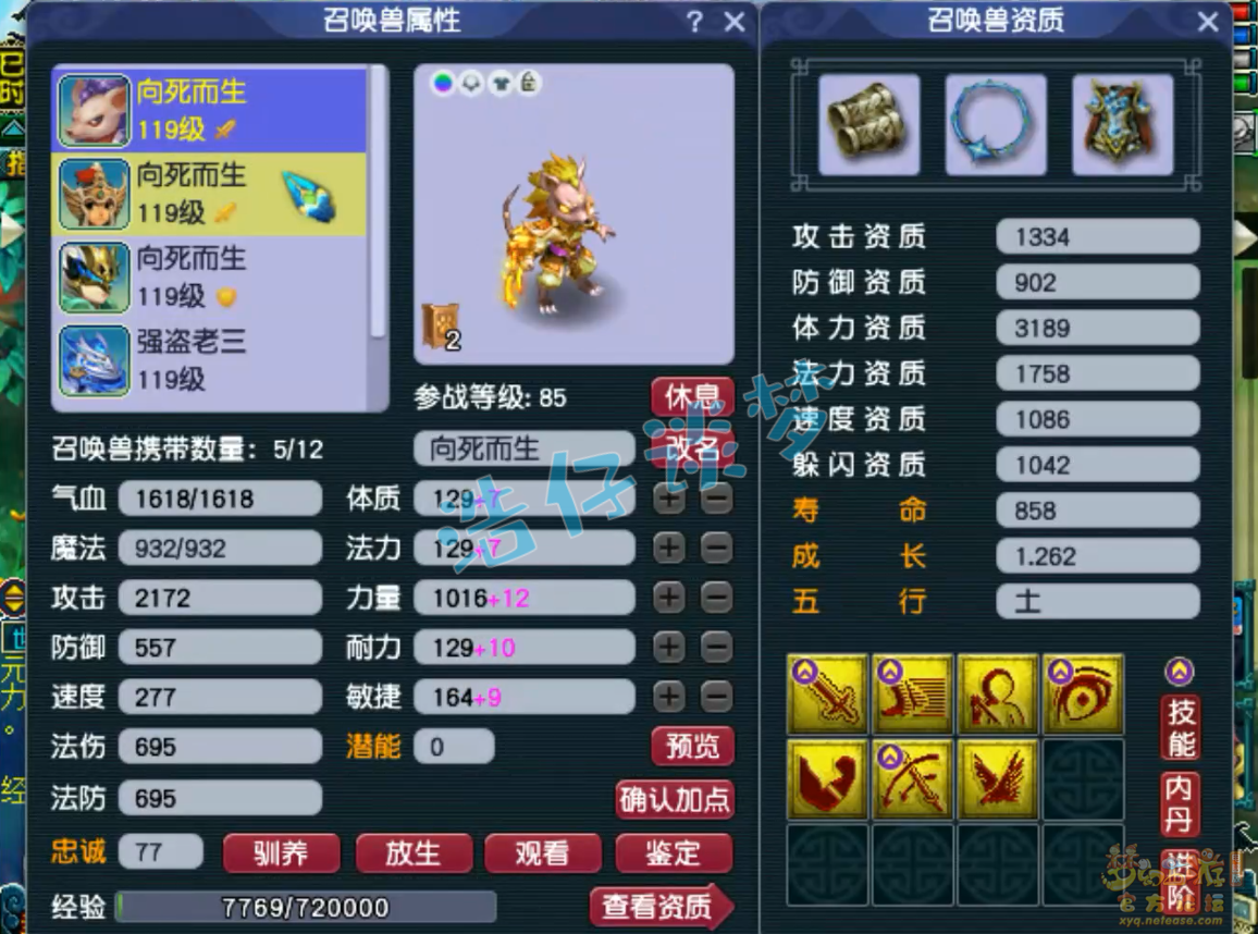 梦幻西游百套凌波城109级装备展示图