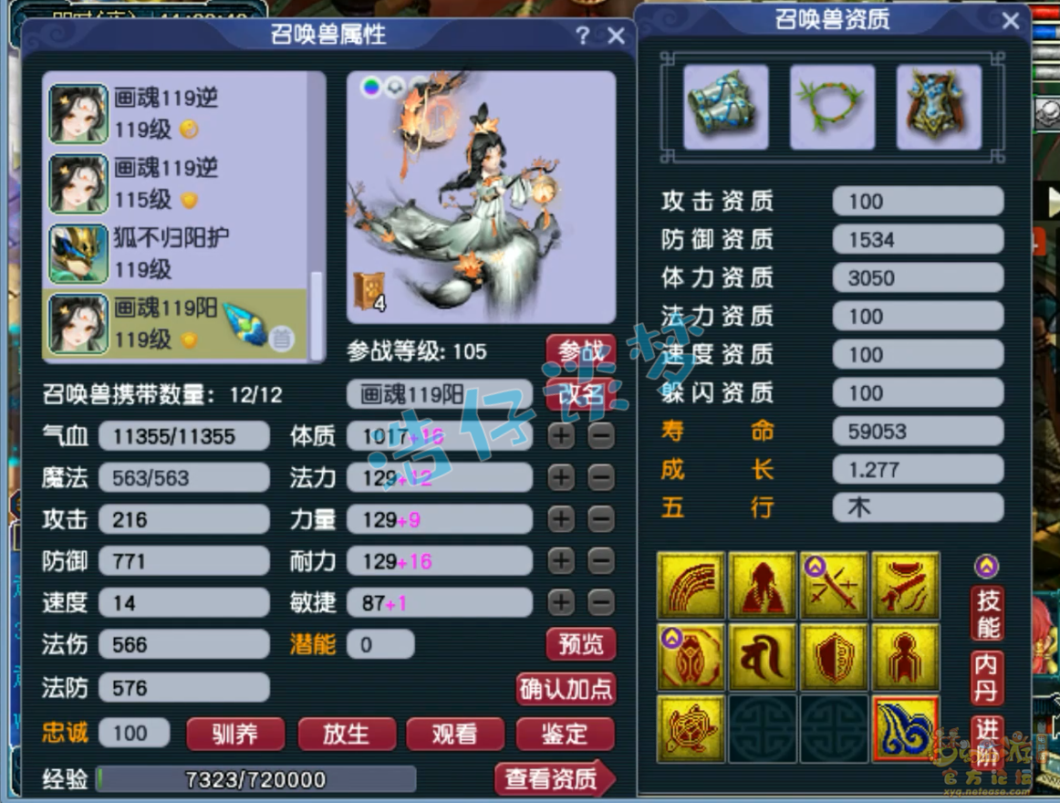 梦幻西游109级奶神木林装备展示图