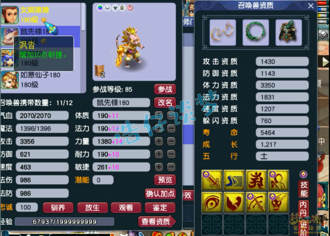 梦幻西游竞速龙宫装备展示图175级