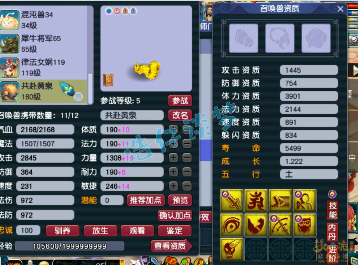 梦幻西游竞速龙宫装备展示图175级