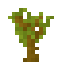 我的世界金合欢树苗有什么用