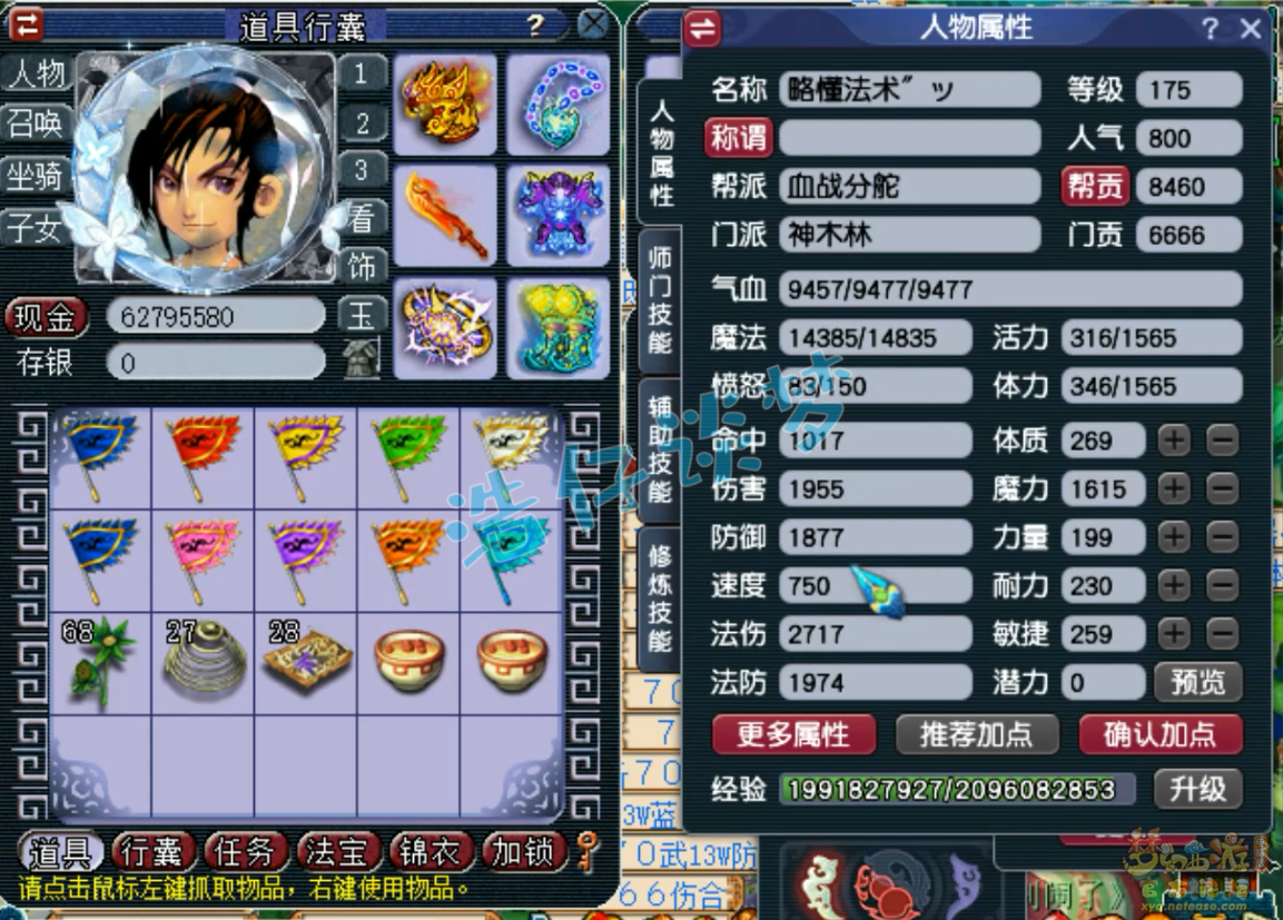 梦幻西游任务175级神木林装备展示图