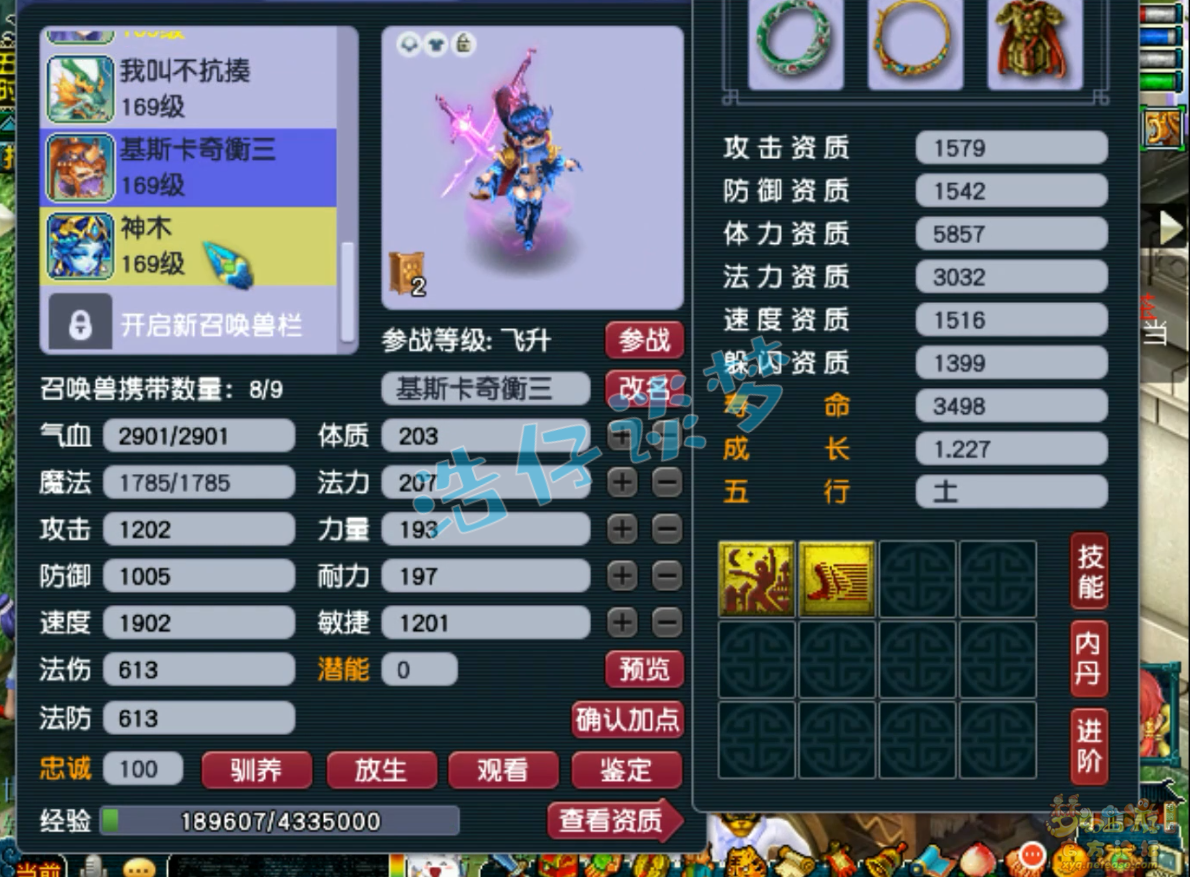 梦幻西游159奶神木林装备展示图