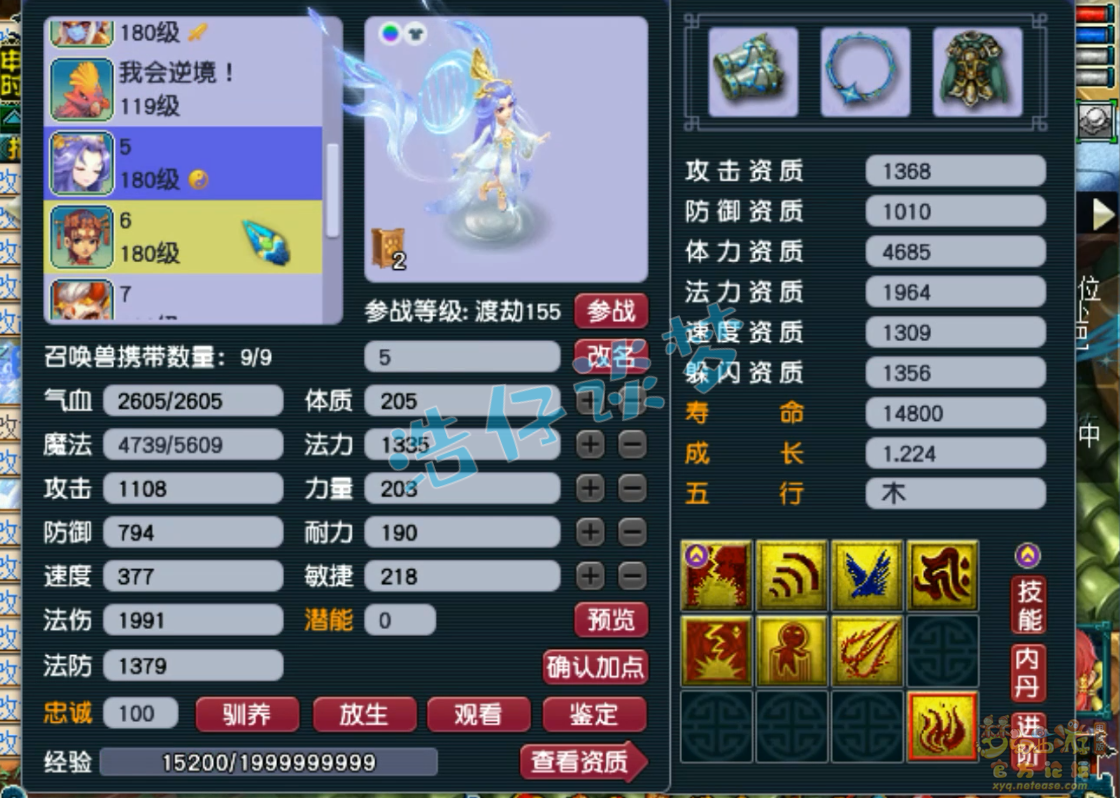 梦幻西游帮战175女儿村装备展示图