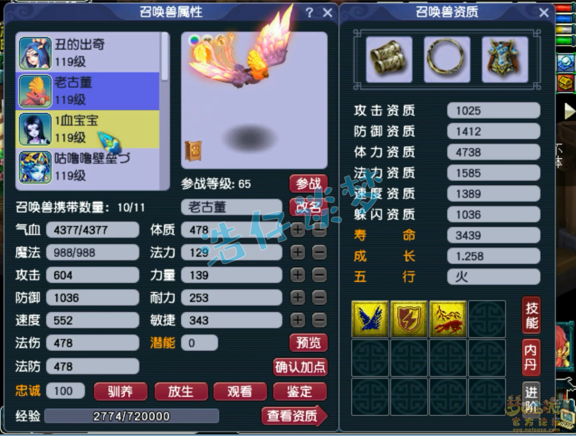 梦幻西游普陀山109装备展示图