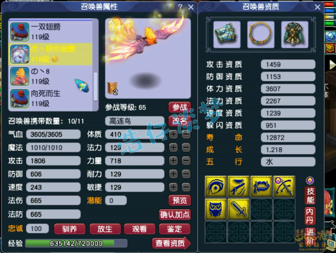 梦幻西游普陀山109装备展示图