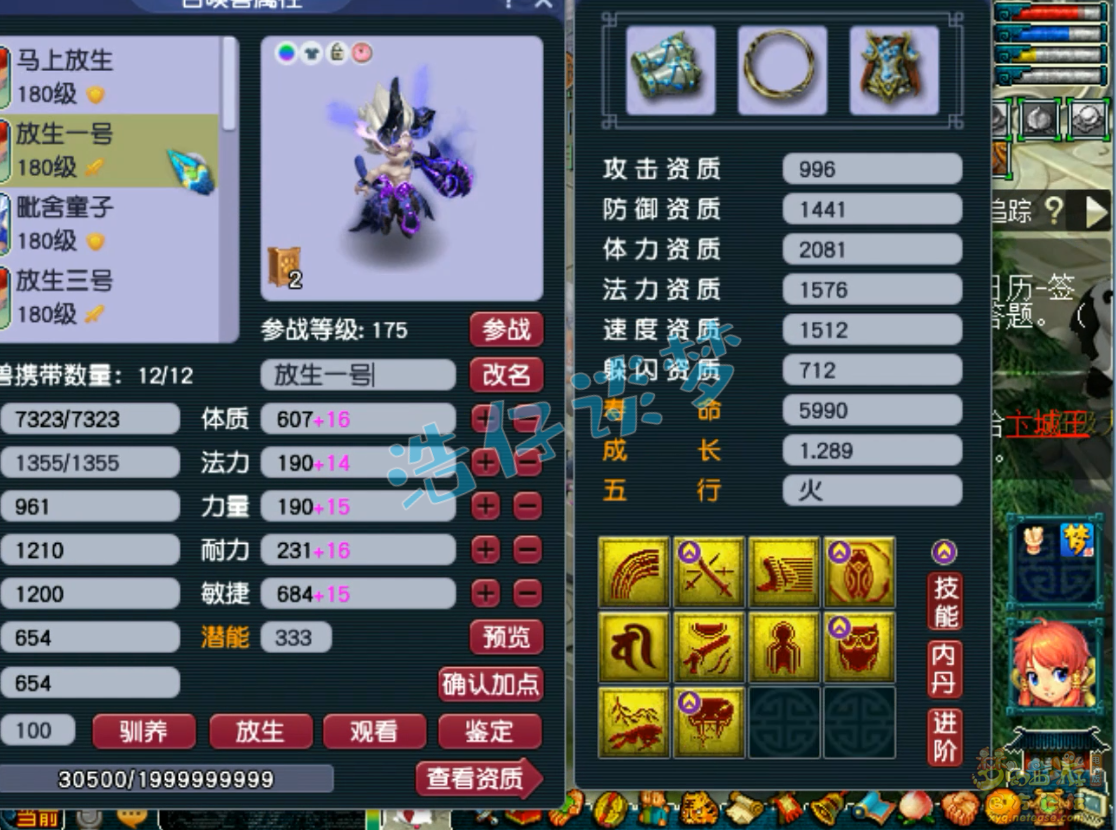 梦幻西游175服战凌波城装备展示图