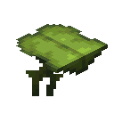 我的世界大型垂滴叶有什么用