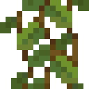 我的世界洞穴藤蔓有什么用