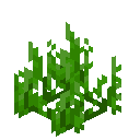 我的世界海草有什么用2025