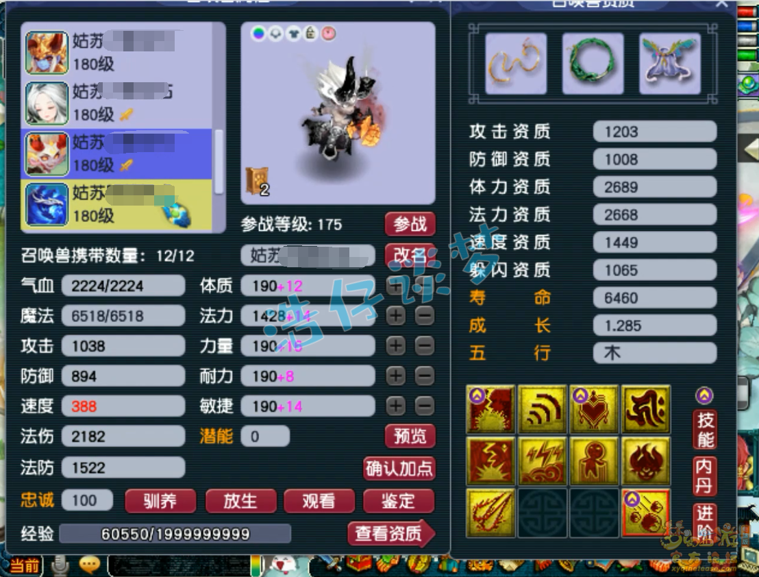 梦幻西游五庄观服战175装备装备展示图