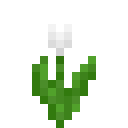 我的世界白色郁金香有什么用2025