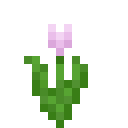 我的世界粉红色郁金香有什么用2025