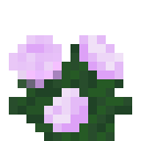 我的世界牡丹有什么用2025