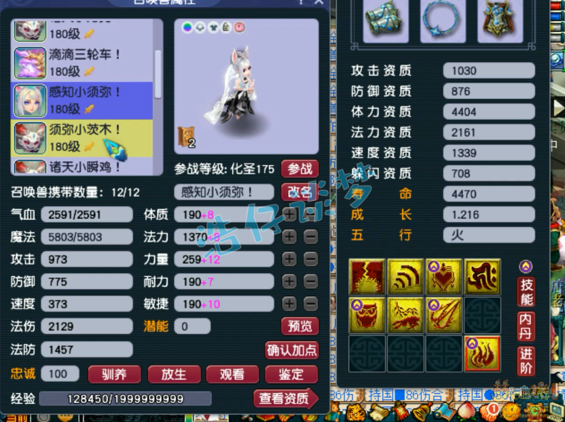 梦幻西游虎贲大唐装备175级展示图