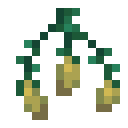 我的世界火把花种子有什么用2025