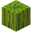 我的世界西瓜有什么用2025