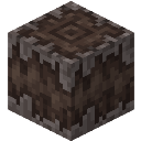 我的世界嘎枝之心有什么2025