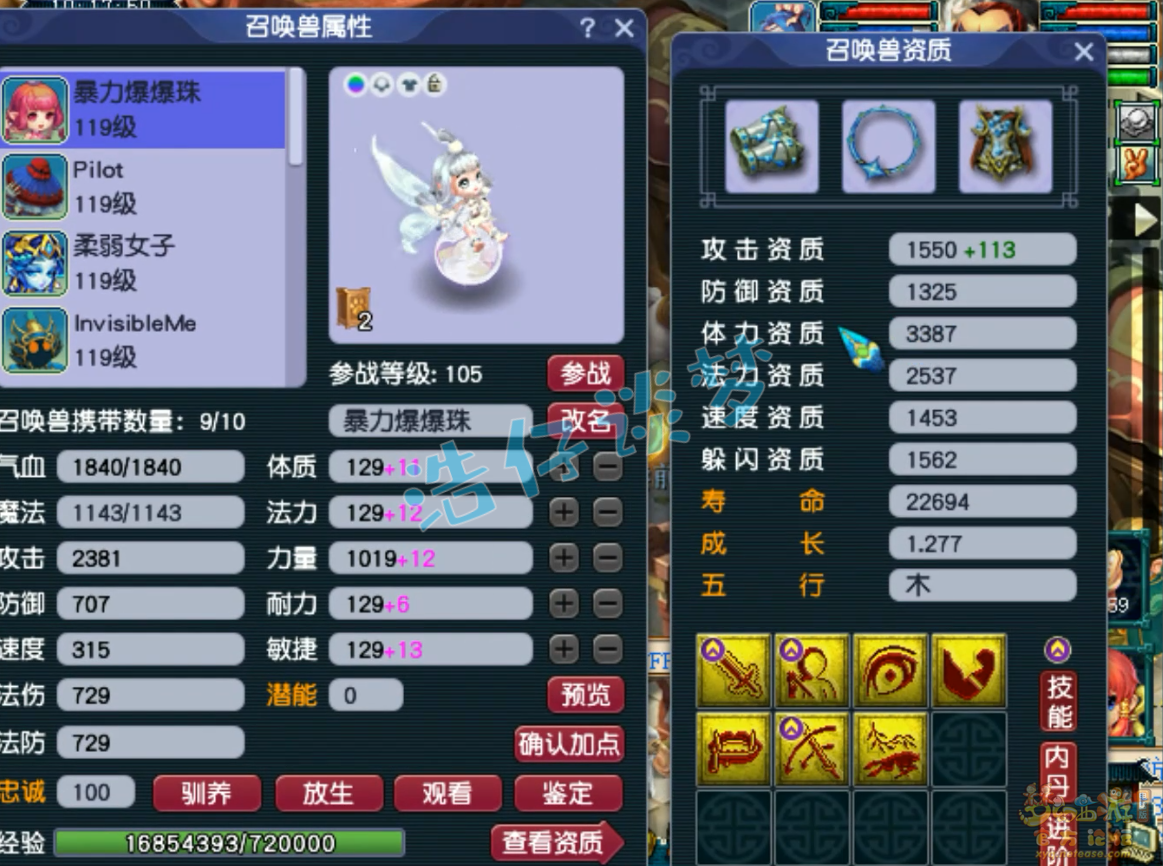 梦幻西游花果山装备109展示图