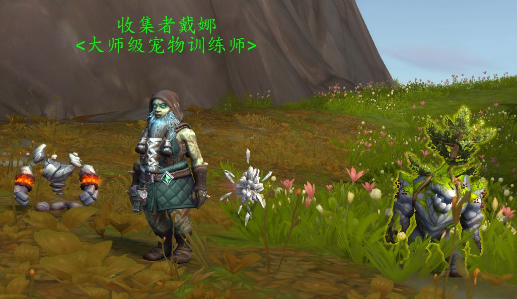 魔兽世界世界任务岩石收集者怎么做