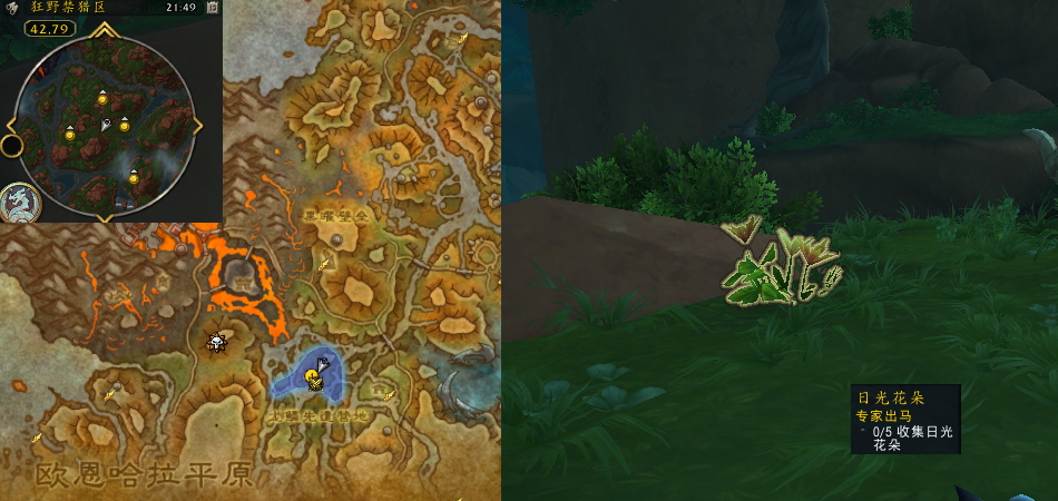 魔兽世界专家出马任务攻略