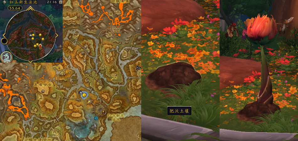 魔兽世界更好的开始任务攻略