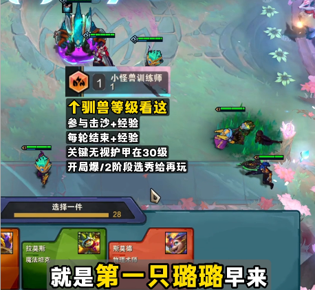 云顶之弈s15圣盾小火龙阵容推荐