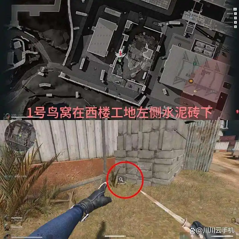 三角洲行动神奇鸟窝位置一览