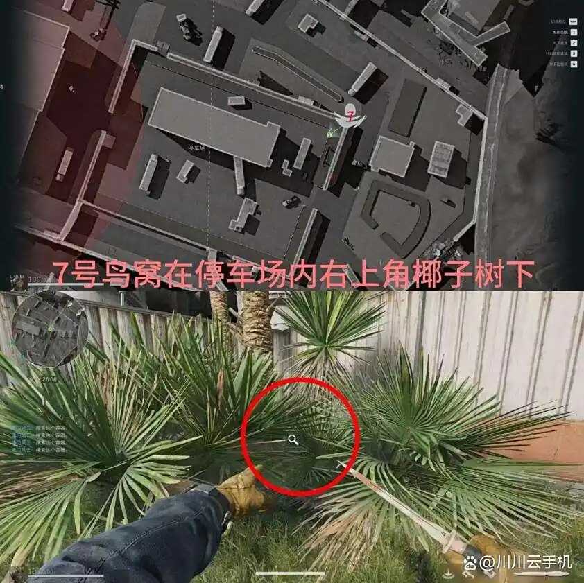 三角洲行动神奇鸟窝位置一览