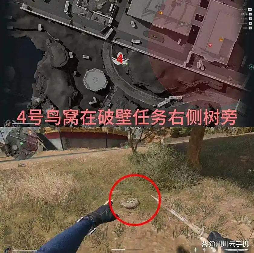 三角洲行动神奇鸟窝位置一览