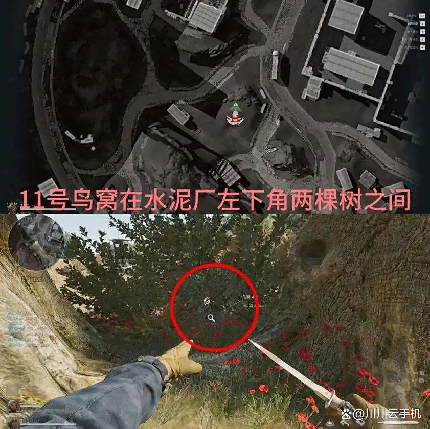 三角洲行动神奇鸟窝位置一览