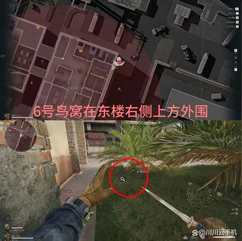 三角洲行动神奇鸟窝位置一览