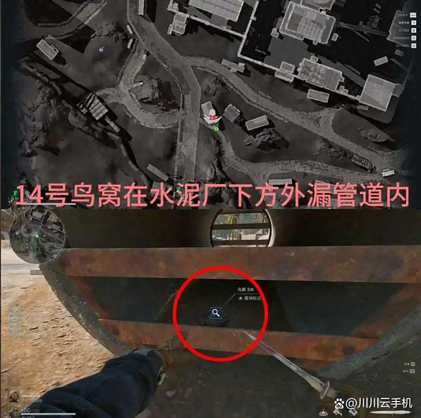 三角洲行动神奇鸟窝位置一览