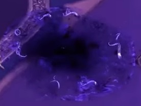 《剑灵》新12人赤朦秘苑第一区间攻略