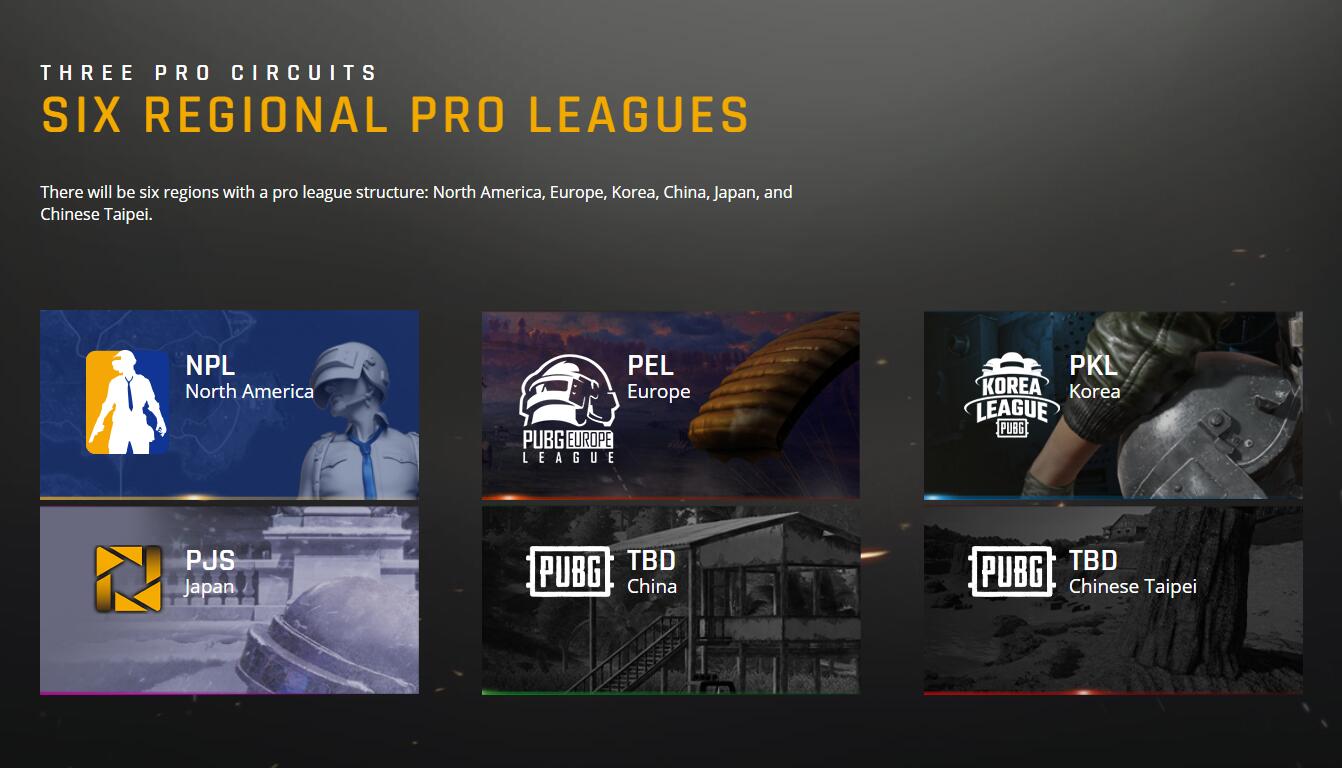 PUBG电竞赛事官网现已上线，2019或将成为职业联赛步入正轨的一年