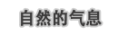 《艾尔之光》蕾娜职业介绍