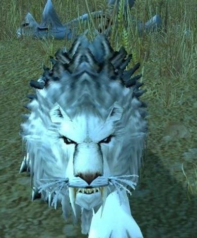 《魔兽世界》怀旧服埃其亚基坐标位置介绍