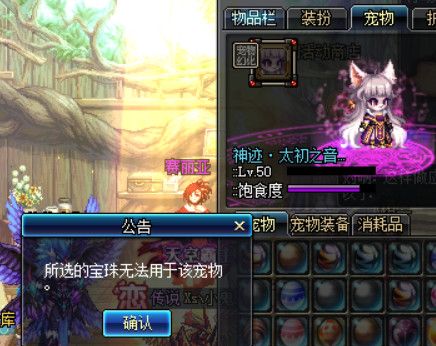 《DNF》2019新春宠物进化书详细解析