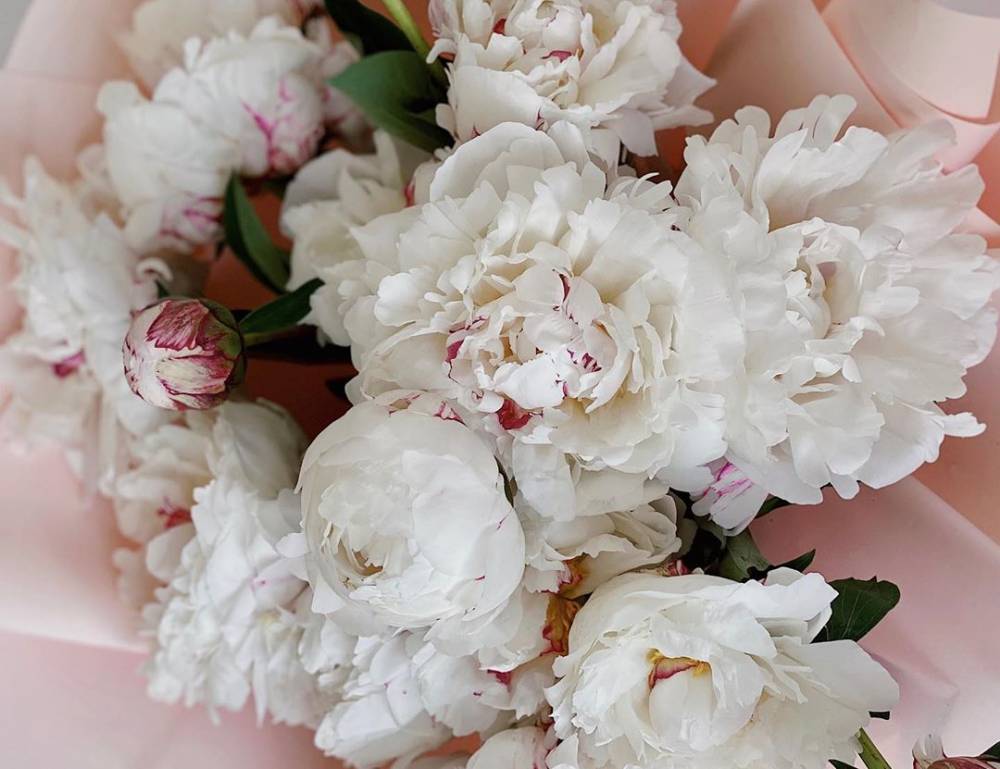 《LOL》厂长女友INS秀恩爱：你真好，我好喜欢你