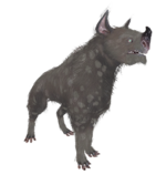 星际战甲同伴介绍