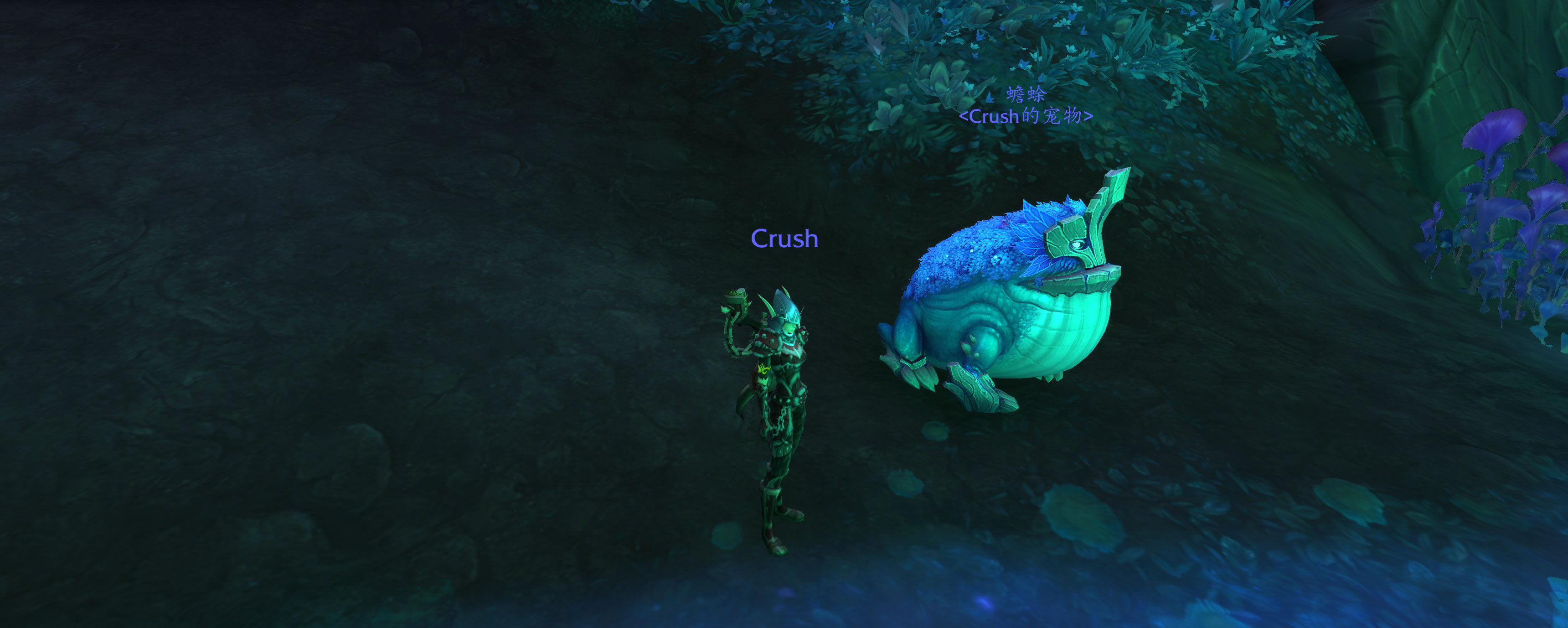 《魔兽世界》蟾蜍出处一览